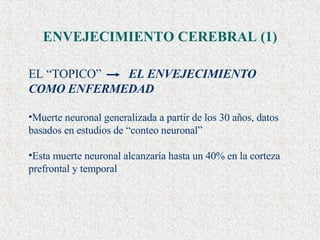 ENVEJECIMIENTO CEREBRAL (1) EL “TOPICO”  EL ENVEJECIMIENTO COMO ENFERMEDAD Muerte neuronal generalizada a partir de los 30 años, datos basados en estudios de “conteo neuronal” Esta muerte neuronal alcanzaría hasta un 40% en la corteza prefrontal y temporal  