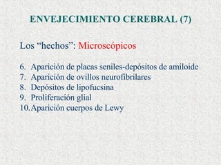 ENVEJECIMIENTO CEREBRAL (7) Los “hechos”:  Microscópicos Aparición de placas seniles-depósitos de amiloide Aparición de ovillos neurofibrilares Depósitos de lipofucsina Proliferación glial Aparición cuerpos de Lewy 