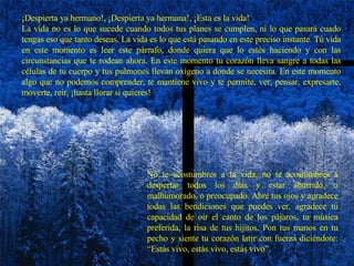 ¡Despierta ya hermano!, ¡Despierta ya hermana!, ¡Esta es la vida!  La vida no es lo que sucede cuando todos tus planes se cumplen, ni lo que pasará cuado tengas eso que tanto deseas. La vida es lo que está pasando en este preciso instante. Tú vida en este momento es leer este párrafo, donde quiera que lo estés haciendo y con las circunstancias que te rodean ahora. En este momento tu corazón lleva sangre a todas las células de tu cuerpo y tus pulmones llevan oxígeno a donde se necesita. En este momento algo que no podemos comprender, te mantiene vivo y te permite, ver, pensar, expresarte, moverte, reír, ¡hasta llorar si quieres! No te acostumbres a la vida, no te acostumbres a despertar todos los días y estar aburrido, o malhumorado, o preocupado. Abre tus ojos y agradece todas las bendiciones que puedes ver, agradece tu capacidad de oír el canto de los pájaros, tu música preferida, la risa de tus hijitos. Pon tus manos en tu pecho y siente tu corazón latir con fuerza diciéndote: “Estás vivo, estás vivo, estás vivo” . 