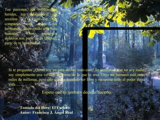 Tus pasiones, tus miedos, tus heridas, tus debilidades, tus secretos y tu agresión, los compartes con todos tus hermanos. ¡Bienvenido a la raza humana! Esos supuestos defectos son parte de tu libertad, parte de tu humanidad. Si te preguntas ¿Quién soy yo para decirte todo esto? Te contestaré que no soy nadie, soy simplemente una versión diferente de lo que tú eres. Otro ser humano más entre miles de millones, pero uno que ha decidido ser libre y recuperar todo el poder de su vida……… Espero que tú también decidas hacerlo. Tomado del libro: El Esclavo Autor: Francisco J. Ángel Real 