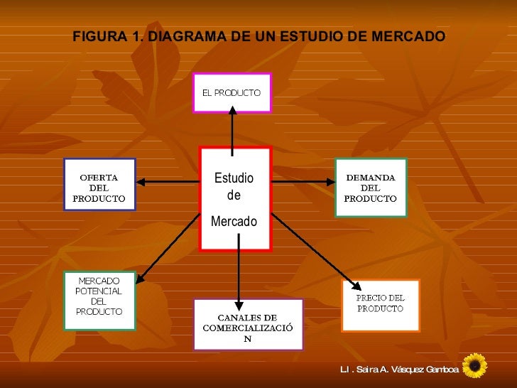 El Estudio De Mercados