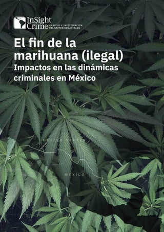El fin de la
marihuana (ilegal)
Impactos en las dinámicas
criminales en México
 