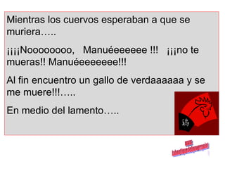 Mientras los cuervos esperaban a que se muriera….. ¡¡¡¡Noooooooo,  Manuéeeeeee !!!  ¡¡¡no te mueras!! Manuéeeeeeee!!! Al fin encuentro un gallo de verdaaaaaa y se me muere!!!….. En medio del lamento….. www. laboutiquedelpowerpoint. com 