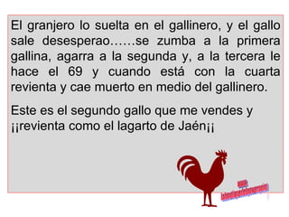 El granjero lo suelta en el gallinero, y el gallo sale desesperao……se zumba a la primera gallina, agarra a la segunda y, a la tercera le hace el 69 y cuando está con la cuarta revienta y cae muerto en medio del gallinero.  Este es el segundo gallo que me vendes y ¡¡revienta como el lagarto de Jaén¡¡  www. laboutiquedelpowerpoint. com 