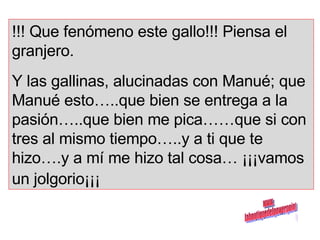 !!! Que fenómeno este gallo!!! Piensa el granjero. Y las gallinas, alucinadas con Manué; que Manué esto…..que bien se entrega a la pasión…..que bien me pica……que si con tres al mismo tiempo…..y a ti que te hizo….y a mí me hizo tal cosa… ¡¡¡vamos un jolgorio¡¡¡   www. laboutiquedelpowerpoint. com 