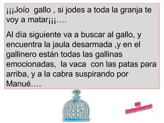 ¡¡¡Joío  gallo , si jodes a toda la granja te voy a matar¡¡¡…. Al día siguiente va a buscar al gallo, y encuentra la jaula desarmada ,y en el gallinero están todas las gallinas emocionadas,  la vaca  con las patas para arriba, y a la cabra suspirando por Manué…. www. laboutiquedelpowerpoint. com 