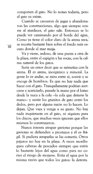 componen el gato. No lo notan todavía, pero
el gato ya existe.
Cuando se cansaron de jugar y abandona-
ron las construccio...