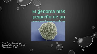 Elver Pérez Contreras
Temas Selectos de Física II
Clase Lunes 6 “D”
 