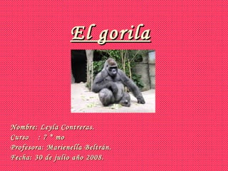 El gorila Nombre: Leyla Contreras. Curso  : 7 * mo Profesora: Marienella Beltrán. Fecha: 30 de julio año 2008. 