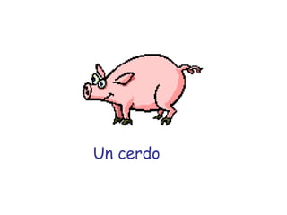 Un cerdo 