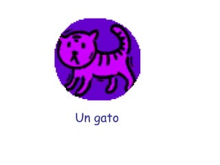 Un gato 