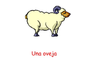 Una oveja 