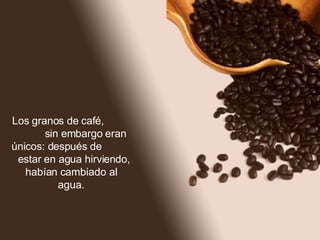Los granos de café,  sin embargo eran únicos: después de  estar en agua hirviendo, habían cambiado al agua. 