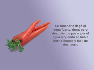La zanahoria llegó al agua fuerte, dura; pero después  de pasar por el agua hirviendo se había hecho blanda y fácil de deshacer. 