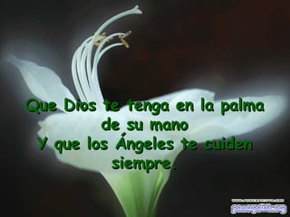 Que Dios te tenga en la palma de su mano Y que los Ángeles te cuiden siempre. 