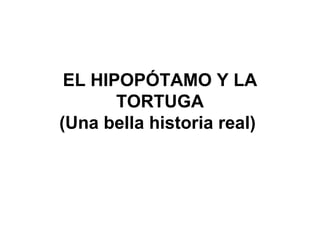 EL HIPOPÓTAMO Y LA TORTUGA (Una bella historia real)   