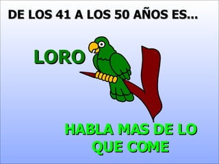 DE LOS 41 A LOS 50 AÑOS ES... LORO HABLA MAS DE LO QUE COME 