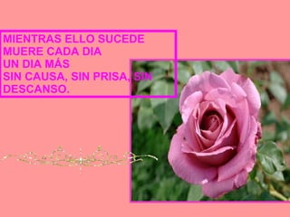 MIENTRAS ELLO SUCEDE MUERE CADA DIA UN DIA MÁS SIN CAUSA, SIN PRISA, SIN DESCANSO.