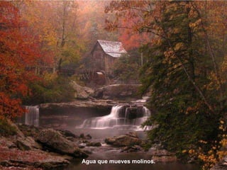 Agua que mueves molinos.