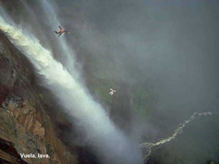 Vuela, lava,