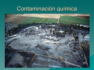 Contaminación química 