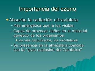 Importancia del ozono Absorbe la radiación ultravioleta Más energética que la luz visible Capaz de provocar daños en el material genético de los organismos Los más perjudicados, los unicelulares Su presencia en la atmósfera coincide con la “gran explosión del Cámbrico” 
