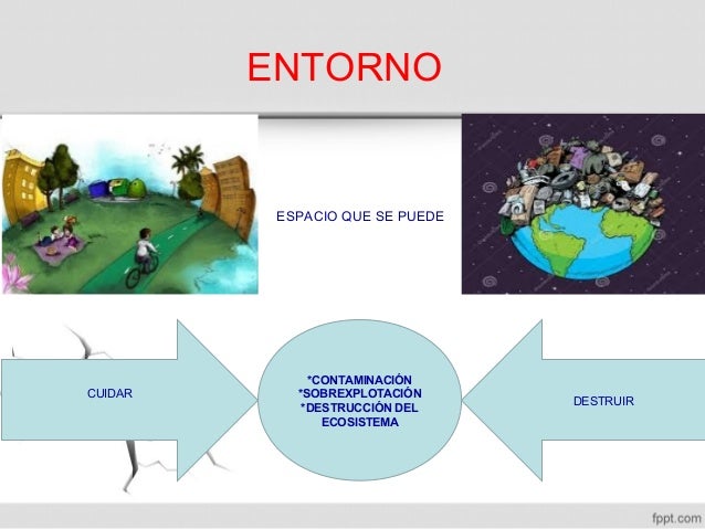 El hombre-y-su-entorno