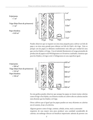 7
Piense en c u lt iva r a l i mentos de u na ma nera su stent able
Fríjol pinto
= 1 m²
Trigo (Rojo Duro de primavera)
= 1 m²
Papa irlandesa
= 0.05 m²
Puedes observar que se requiere un área muy pequeña para cultivar un kilo de
papa y un área muy grande para obtener un kilo de fríjol o de trigo. Esto es
porque con las papas se obtienen rendimientos más altos por unidad de área
que con los fríjoles y el trigo. Con el método Biointensivo el rango promedio de
producción de papas es de 90 kilogramos en 10 metros cuadrados, mientras que
para los fríjoles y el trigo es de 4.5 kilogramos en una superficie igual.
Fríjol pinto
= 509 m²
Trigo (Rojo Duro de primavera)
= 543 m²
Papa irlandesa
= 146 m²
En esta gráfica puedes observar que aunque las papas no tienen tantas calorías
como el trigo o los fríjoles, en el huerto resulta un cultivo alto en calorías mucho
más eficiente que los fríjoles o el trigo.
Otros cultivos que al igual que las papas pueden ser muy eficientes en calorías
son el camote, el ajo y la chirivía.
Algunos granos como el trigo, centeno, cebada, avena, maíz y amaranto
requieren de una mayor área para producir una cantidad considerable de
calorías, sin embargo ofrecen un beneficio importante: además de proveer con
Metroscuadradospara
cultivar1kg
Fríjol Trigo Papa
1 m²
0.75m²
0.5m²
0.25m²
0 m²
Fríjol Trigo Papa
600 m²
500 m²
400 m²
300 m²
200 m²
100 m²
Áreanecessariapara
dietadeunaño
 