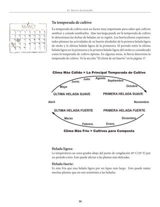 E l Huer to S u stent able
16
Tu temporada de cultivo
La temporada de cultivo será un factor muy importante para saber qué cultivos
sembrar y cuándo sembrarlos. Que tan larga puede ser la temporada de cultivo
lo determinan las fechas de heladas en tu región. Los horticultores experimen-
tados planean las actividades de su huerto alrededor de la primera helada ligera
de otoño y la última helada ligera de la primavera. El período entre la última
helada ligera en la primavera y la primera helada ligera del otoño es considerado
como la temporada de cultivo óptima. En algunas áreas, la lluvia determina la
temporada de cultivo. Ve la sección “El clima de mi huerto” en la página 17.
Mayo
Junio
Julio Agosto
Septiembre
Octubre
Abril Noviembre
Marzo
Clima Más Cálido = La Principal Temporada de Cultivo
Clima Más Frio = Cultivos para Composta
Febrero Enero
Diciembre
ÚltiMA hElADA SuAvE
Helada ligera:
La temperatura cae unos grados abajo del punto de congelación (0º C/32º F) por
un período corto. Esto puede afectar a las plantas más delicadas.
Helada fuerte:
Es más fría que una helada ligera por un lapso más largo. Esto puede matar
muchas plantas que no son resistentes a las heladas.
priMErA hElADA SuAvE
ÚltiMA hElADA FuErtE priMErA hElADA FuErtE
MAYO
Lunes Martes Miercoles Jueves Viernes SábadoDomingo
última
helada
suave
dÍade
siembra!
 