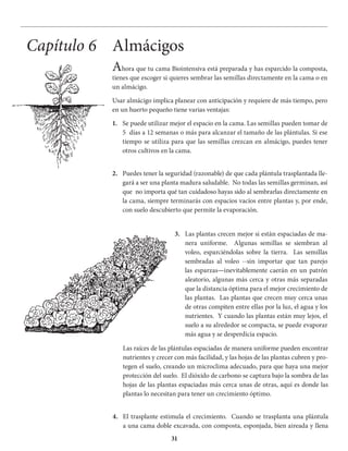 31
Almácigos
Ahora que tu cama Biointensiva está preparada y has esparcido la composta,
tienes que escoger si quieres sembrar las semillas directamente en la cama o en
un almácigo.
Usar almácigo implica planear con anticipación y requiere de más tiempo, pero
en un huerto pequeño tiene varias ventajas:
1. Se puede utilizar mejor el espacio en la cama. Las semillas pueden tomar de
5 días a 12 semanas o más para alcanzar el tamaño de las plántulas. Si ese
tiempo se utiliza para que las semillas crezcan en almácigo, puedes tener
otros cultivos en la cama.
2. Puedes tener la seguridad (razonable) de que cada plántula trasplantada lle-
gará a ser una planta madura saludable. No todas las semillas germinan, así
que no importa qué tan cuidadoso hayas sido al sembrarlas directamente en
la cama, siempre terminarás con espacios vacíos entre plantas y, por ende,
con suelo descubierto que permite la evaporación.
Capítulo 6
3. Las plantas crecen mejor si están espaciadas de ma-
nera uniforme. Algunas semillas se siembran al
voleo, esparciéndolas sobre la tierra. Las semillas
sembradas al voleo --sin importar que tan parejo
las esparzas—inevitablemente caerán en un patrón
aleatorio, algunas más cerca y otras más separadas
que la distancia óptima para el mejor crecimiento de
las plantas. Las plantas que crecen muy cerca unas
de otras compiten entre ellas por la luz, el agua y los
nutrientes. Y cuando las plantas están muy lejos, el
suelo a su alrededor se compacta, se puede evaporar
más agua y se desperdicia espacio.
Las raíces de las plántulas espaciadas de manera uniforme pueden encontrar
nutrientes y crecer con más facilidad, y las hojas de las plantas cubren y pro-
tegen el suelo, creando un microclima adecuado, para que haya una mejor
protección del suelo. El dióxido de carbono se captura bajo la sombra de las
hojas de las plantas espaciadas más cerca unas de otras, aquí es donde las
plantas lo necesitan para tener un crecimiento óptimo.
4. El trasplante estimula el crecimiento. Cuando se trasplanta una plántula
a una cama doble excavada, con composta, esponjada, bien aireada y llena
 