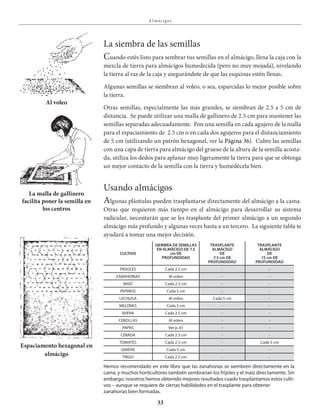 33
A l mácigos
La siembra de las semillas
Cuando estés listo para sembrar tus semillas en el almácigo, llena la caja con la
mezcla de tierra para almácigos humedecida (pero no muy mojada), nivelando
la tierra al ras de la caja y asegurándote de que las esquinas estén llenas.
Algunas semillas se siembran al voleo, o sea, esparcidas lo mejor posible sobre
la tierra.
Otras semillas, especialmente las más grandes, se siembran de 2.5 a 5 cm de
distancia. Se puede utilizar una malla de gallinero de 2.5 cm para mantener las
semillas separadas adecuadamente. Pon una semilla en cada agujero de la malla
para el espaciamiento de 2.5 cm o en cada dos agujeros para el distanciamiento
de 5 cm (utilizando un patrón hexagonal, ver la Página 36). Cubre las semillas
con una capa de tierra para almácigo del grueso de la altura de la semilla acosta-
da, utiliza los dedos para aplanar muy ligeramente la tierra para que se obtenga
un mejor contacto de la semilla con la tierra y humedécela bien.
Usando almácigos
Algunas plántulas pueden trasplantarse directamente del almácigo a la cama.
Otras que requieren más tiempo en el almácigo para desarrollar su sistema
radicular, necesitarán que se les trasplante del primer almácigo a un segundo
almácigo más profundo y algunas veces hasta a un tercero. La siguiente tabla te
ayudará a tomar una mejor decisión.
La malla de gallinero
facilita poner la semilla en
los centros
Al voleo
Espaciamento hexagonal en
almácigo
CUltivo
SiEMBRA DE SEMillAS
EN AlMÁCigo DE 7.5
cm DE
pRofUNDiDAD
tRASplANtE
AlMÁCigo
DE
7.5 cm DE
pRofUNDiDAD
tRASplANtE
AlMÁCigo
DE
15 cm DE
pRofUNDiDAD
frÍjoles Cada 2.5 cm - -
zanahorias al voleo - -
MaÍz Cada 2.5 cm - -
pepinos Cada 5 cm - -
leChuga al voleo Cada 5 cm -
MelÓnes Cada 5 cm - -
avena Cada 2.5 cm - -
Cebollas al voleo - -
papas ver p. 61 - -
Cebada Cada 2.5 cm - -
toMates Cada 2.5 cm - Cada 5 cm
sandÍa Cada 5 cm - -
trigo Cada 2.5 cm - -
hemos recomendado en este libro que las zanahorias se siembren directamente en la
cama, y muchos horticultores también sembrarían los fríjoles y el maíz directamente. sin
embargo, nosotros hemos obtenido mejores resultados cuado trasplantamos estos culti-
vos – aunque se requiere de ciertas habilidades en el trasplante para obtener
zanahorias bien formadas.
 