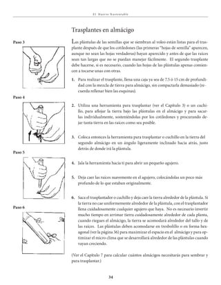 E l Huer to S u stent able
34
Trasplantes en almácigo
Las plántulas de las semillas que se siembran al voleo están listas para el tras-
plante después de que los cotiledones (las primeras “hojas de semilla” aparecen,
aunque no sean las hojas verdaderas) hayan aparecido y antes de que las raíces
sean tan largas que no se puedan manejar fácilmente. El segundo trasplante
debe hacerse, si es necesario, cuando las hojas de las plántulas apenas comien-
cen a tocarse unas con otras.
1. Para realizar el trasplante, llena una caja ya sea de 7.5 ó 15 cm de profundi-
dad con la mezcla de tierra para almácigo, sin compactarla demasiado (re-
cuerda rellenar bien las esquinas).
2. Utiliza una herramienta para trasplantar (ver el Capítulo 3) o un cuchi-
llo, para aflojar la tierra bajo las plántulas en el almácigo y para sacar-
las individualmente, sosteniéndolas por los cotiledones y procurando de-
jar tanta tierra en las raíces como sea posible.
3. Coloca entonces la herramienta para trasplantar o cuchillo en la tierra del
segundo almácigo en un ángulo ligeramente inclinado hacia atrás, justo
detrás de donde irá la plántula.
4. Jala la herramienta hacia ti para abrir un pequeño agujero.
5. Deja caer las raíces suavemente en el agujero, colocándolas un poco más
profundo de lo que estaban originalmente.
6. Saca el trasplantador o cuchillo y deja caer la tierra alrededor de la plántula. Si
la tierra no cae uniformemente alrededor de la plántula, con el trasplantador
llena cuidadosamente cualquier agujero que haya. No es necesario invertir
mucho tiempo en arrimar tierra cuidadosamente alrededor de cada planta,
cuando riegues el almácigo, la tierra se acomodará alrededor del tallo y de
las raíces. Las plántulas deben acomodarse en tresbolillo o en forma hex-
agonal (ver la página 36) para maximizar el espacio en el almácigo y para op-
timizar el micro clima que se desarrollará alrededor de las plántulas cuando
vayan creciendo.
(Ver el Capítulo 7 para calcular cuántos almácigos necesitarás para sembrar y
para trasplantar.)
Paso 3
Paso 4
Paso 5
Paso 6
 