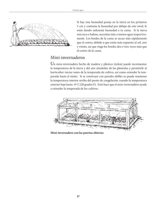 37
A l mácigos
Si hay una humedad pareja en la tierra en los primeros
5 cm y continúa la humedad por debajo de este nivel, le
estás dando suficiente humedad a tu cama. Si la tierra
está seca o lodosa, necesitas más o menos agua respectiva-
mente. Los bordes de la cama se secan más rápidamente
que el centro, debido a que están más expuesto al sol, aire
y viento, así que riega los bordes dos o tres veces más que
el centro de la cama.
Mini-invernaderos
Un mini-invernadero hecho de madera y plástico (nylon) puede incrementar
la temperatura de la tierra y del aire alrededor de las plántulas y permitirle al
horticultor iniciar antes de la temporada de cultivo, así como extender la tem-
porada hasta el otoño. Si se construye con paredes dobles se puede mantener
la temperatura interior arriba del punto de congelación cuando la temperatura
exterior baja hasta -6º C (20 grados F). Esto hace que el mini-invernadero ayude
a extender la temporada de los cultivos.
Mini-invernadero con las puertas abiertas
 