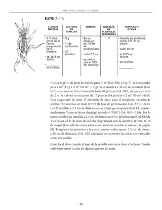 55
Pla neación y siembra de c u lt ivos
Utiliza 25 g ( ¼ de taza) de semilla para 10 m² (Col. BB), ó 5 g (²/₃ de cucharada)
para 2 m² (25 g x 2 m² /10 m² = 5 g). Si se siembra a 38 cm de distancia (Col.
CC), una cama de 10 m² contendrá hasta 84 plantas (Col. DD), así que a un área
de 2 m² le cabrán un máximo de 17 plantas (84 plantas x 2 m² /10 m² =16.8).
Para asegurarte de tener 17 plántulas de maíz para el trasplante, necesitarás
sembrar 23 semillas de maíz (17/.75 [la tasa de germinación Col. AA] = 22.6).
Las 23 semillas a 2.5 cm de distancia en el almácigo ocuparán (Col. FF) aproxi-
madamente 1/10 parte de un almácigo estándar (17/187 [ Col. GG]= 0.09). Por lo
tanto, siembra las semillas a 2.5 cm de distancia en 1/10 del almácigo (Col. EE) de
3 a 5 días (Col. HH) antes de la fecha programada para la siembra (Willits, 16-18
de mayo). (Consulta las notas sobre como sembrar semillas al voleo en la página
61). Trasplanta las plántulas a la cama cuando midan aprox. 2.5 cm de altura,
a 38 cm de distancia (Col. CC) cuidando de mantener las raíces tan verticales
como sea posible.
Cosecha el elote cuando el jugo de la semilla esté entre claro y lechoso. Puedes
verlo insertando tu uña en algunos granos del maíz.
EloTE (2 m²):
CuÁnDo
EmpEzar
CanTiDaD
DE
sEmillas
siEmbra nÚm. mÁx.
DE
plÁnTulas
rEquEriDas
TrasplanTE
a Cama
• 3-5 días
antes de la
fecha
programada
para
siembra:
• 16-18/5 en
Willits,
• _______
en tu área.
• 5 g
•	²/3 de
cucharada
• 23
semillas
• En un
almácigo
de 7.5 cm
de
profundidad,
• cada 2.5 cm
• se utiliza
casi el 10%
del almácigo
17 • Cuando las plántulas
midan 2.5 cm de
altura
• cada 38 cm
• el 21/5 en
Willits,
• en tu área:
________
 