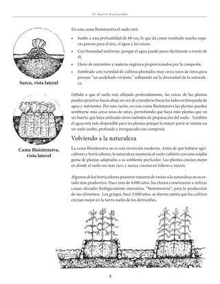 E l Huer to S u stent able
2
Volviendo a la naturaleza
La cama Biointensiva no es una invención moderna. Antes de que hubiese agri-
cultores y horticultores, la naturaleza mantenía el suelo cubierto con una amplia
gama de plantas adaptadas a su ambiente particular. Las plantas crecían mejor
en donde el suelo era más rico, y nunca crecían en hileras o surcos.
Algunos de los horticultores pioneros trataron de imitar a la naturaleza en su es-
tado más productivo. Hace más de 4.000 años, los chinos comenzaron a utilizar
camas elevadas biológicamente intensivas, “biointensivas”, para la producción
de sus alimentos. Los griegos, hace 2.000 años, se dieron cuenta que los cultivos
crecían mejor en la tierra suelta de los derrumbes.
En una cama Biointensiva el suelo está:
Suelto a una profundidad de 60 cm, lo que da como resultado mucho espa-•	
cio poroso para el aire, el agua y las raíces;
Con humedad uniforme, porque el agua puede pasar fácilmente a través de•	
él;
Lleno de nutrientes y materia orgánica proporcionados por la composta;•	
Sembrado con variedad de cultivos plantados muy cerca unos de otros para•	
proveer “un acolchado viviente,” reflejando así la diversidad de la naturale-
za.
Debido a que el suelo está aflojado profundamente, las raíces de las plantas
pueden penetrar hacia abajo en vez de extenderse hacia los lados en búsqueda de
agua y nutrientes. Por esta razón, en una cama Biointensiva las plantas pueden
sembrarse más cerca unas de otras, permitiendo que haya más plantas que en
un huerto que haya utilizado otros métodos de preparación del suelo. También
el agua está más disponible para las plantas porque la mayor parte se retiene en
un suelo suelto, profundo y enriquecido con composta.
Cama Biointensiva,
vista lateral
Surco, vista lateral
 