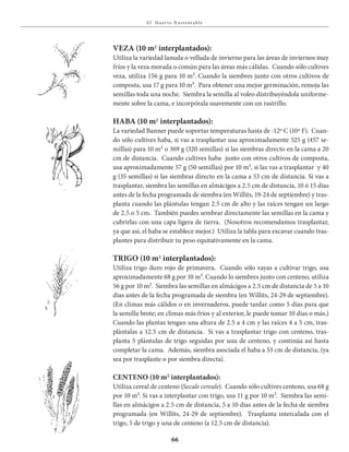 E l Huer to S u stent able
66
VEZA (10 m2 interplantados):
Utiliza la variedad lanuda o velluda de invierno para las áreas de inviernos muy
fríos y la veza morada o común para las áreas más cálidas. Cuando sólo cultives
veza, utiliza 156 g para 10 m². Cuando la siembres junto con otros cultivos de
composta, usa 17 g para 10 m². Para obtener una mejor germinación, remoja las
semillas toda una noche. Siembra la semilla al voleo distribuyéndola uniforme-
mente sobre la cama, e incorpórala suavemente con un rastrillo.
HABA (10 m2 interplantados):
La variedad Banner puede soportar temperaturas hasta de -12º C (10º F). Cuan-
do sólo cultives haba, si vas a trasplantar usa aproximadamente 525 g (457 se-
millas) para 10 m² o 369 g (320 semillas) si las siembras directo en la cama a 20
cm de distancia. Cuando cultives haba junto con otros cultivos de composta,
usa aproximadamente 57 g (50 semillas) por 10 m², si las vas a trasplantar y 40
g (35 semillas) si las siembras directo en la cama a 53 cm de distancia. Si vas a
trasplantar, siembra las semillas en almácigos a 2.5 cm de distancia, 10 ó 15 días
antes de la fecha programada de siembra (en Willits, 19-24 de septiembre) y tras-
planta cuando las plántulas tengan 2.5 cm de alto y las raíces tengan un largo
de 2.5 o 5 cm. También puedes sembrar directamente las semillas en la cama y
cubrirlas con una capa ligera de tierra. (Nosotros recomendamos trasplantar,
ya que así, el haba se establece mejor.) Utiliza la tabla para excavar cuando tras-
plantes para distribuir tu peso equitativamente en la cama.
TRIGO (10 m2 interplantados):
Utiliza trigo duro rojo de primavera. Cuando sólo vayas a cultivar trigo, usa
aproximadamente 68 g por 10 m². Cuando lo siembres junto con centeno, utiliza
56 g por 10 m². Siembra las semillas en almácigos a 2.5 cm de distancia de 5 a 10
días antes de la fecha programada de siembra (en Willits, 24-29 de septiembre).
(En climas más cálidos o en invernaderos, puede tardar como 5 días para que
la semilla brote; en climas más fríos y al exterior, le puede tomar 10 días o más.)
Cuando las plantas tengan una altura de 2.5 a 4 cm y las raíces 4 a 5 cm, tras-
plántalas a 12.5 cm de distancia. Si vas a trasplantar trigo con centeno, tras-
planta 5 plántulas de trigo seguidas por una de centeno, y continúa así hasta
completar la cama. Además, siembra asociada el haba a 53 cm de distancia, (ya
sea por trasplante o por siembra directa).
CENTENO (10 m2 interplantados):
Utiliza cereal de centeno (Secale cereale). Cuando sólo cultives centeno, usa 68 g
por 10 m². Si vas a interplantar con trigo, usa 11 g por 10 m². Siembra las semi-
llas en almácigos a 2.5 cm de distancia, 5 a 10 días antes de la fecha de siembra
programada (en Willits, 24-29 de septiembre). Trasplanta intercalada con el
trigo, 5 de trigo y una de centeno (a 12.5 cm de distancia).
 