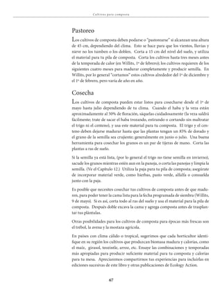 67
Cu lt ivos pa ra compost a
Pastoreo
Los cultivos de composta deben podarse o “pastorearse” si alcanzan una altura
de 45 cm, dependiendo del clima. Esto se hace para que los vientos, lluvias y
nieve no los tumben o los doblen. Corta a 15 cm del nivel del suelo, y utiliza
el material para tu pila de composta. Corta los cultivos hasta tres meses antes
de la temporada de calor (en Willits, 1º de febrero); los cultivos requieren de los
siguientes cuatro meses para madurar completamente y producir semilla. En
Willits, por lo general “cortamos” estos cultivos alrededor del 1º de diciembre y
el 1º de febrero, pero varía de año en año.
Cosecha
Los cultivos de composta pueden estar listos para cosecharse desde el 1º de
mayo hasta julio dependiendo de tu clima. Cuando el haba y la veza están
aproximadamente al 50% de floración, sáquelas cuidadosamente (la veza saldrá
fácilmente; trate de sacar el haba trozando, estirando o cortando sin maltratar
el trigo ni el centeno), y usa este material para tu composta. El trigo y el cen-
teno deben dejarse madurar hasta que las plantas tengan un 85% de dorado y
el grano de la semilla sea crujiente; generalmente en junio o julio. Una buena
herramienta para cosechar los granos es un par de tijeras de mano. Corta las
plantas a ras de suelo.
Si la semilla ya está lista, (por lo general el trigo no tiene semilla en invierno),
sacude los granos mientras estén aun en la panoja, o corta las panojas y limpia la
semilla. (Ve el Capítulo 12.) Utiliza la paja para tu pila de composta; asegúrate
de incorporar material verde, como hierbas, pasto verde, alfalfa o consuelda
junto con la paja.
Es posible que necesites cosechar tus cultivos de composta antes de que madu-
ren, para poder tener la cama lista para la fecha programada de siembra (Willits,
9 de mayo). Si es así, corta todo al ras del suelo y usa el material para la pila de
composta. Después doble excava la cama y agrega composta antes de trasplan-
tar tus plántulas.
Otras posibilidades para los cultivos de composta para épocas más frescas son
el trébol, la avena y la mostaza agrícola.
En países con clima cálido o tropical, sugerimos que cada horticultor identi-
fique en su región los cultivos que produzcan biomasa madura y calorías, como
el maíz, girasol, teozintle, arroz, etc. Ensaye las combinaciones y temporadas
más apropiadas para producir suficiente material para tu composta y calorías
para tu mesa. Apreciaremos compartirnos tus experiencias para incluirlas en
ediciones sucesivas de este libro y otras publicaciones de Ecology Action.
 