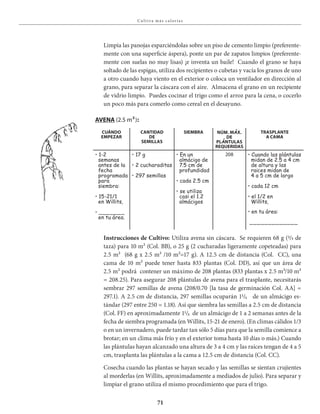 71
Cu lt iva má s c a lor ía s
Limpia las panojas esparciéndolas sobre un piso de cemento limpio (preferente-
mente con una superficie áspera), ponte un par de zapatos limpios (preferente-
mente con suelas no muy lisas) ¡e inventa un baile! Cuando el grano se haya
soltado de las espigas, utiliza dos recipientes o cubetas y vacía los granos de uno
a otro cuando haya viento en el exterior o coloca un ventilador en dirección al
grano, para separar la cáscara con el aire. Almacena el grano en un recipiente
de vidrio limpio. Puedes cocinar el trigo como el arroz para la cena, o cocerlo
un poco más para comerlo como cereal en el desayuno.
Instrucciones de Cultivo: Utiliza avena sin cáscara. Se requieren 68 g (2/3 de
taza) para 10 m² (Col. BB), o 25 g (2 cucharadas ligeramente copeteadas) para
2.5 m² (68 g x 2.5 m² /10 m²=17 g). A 12.5 cm de distancia (Col. CC), una
cama de 10 m² puede tener hasta 833 plantas (Col. DD), así que un área de
2.5 m² podrá contener un máximo de 208 plantas (833 plantas x 2.5 m²/10 m²
= 208.25). Para asegurar 208 plántulas de avena para el trasplante, necesitarás
sembrar 297 semillas de avena (208/0.70 [la tasa de germinación Col. AA] =
297.1). A 2.5 cm de distancia, 297 semillas ocuparán 11/₅ de un almácigo es-
tándar (297 entre 250 = 1.18). Así que siembra las semillas a 2.5 cm de distancia
(Col. FF) en aproximadamente 11/₅ de un almácigo de 1 a 2 semanas antes de la
fecha de siembra programada (en Willits, 15-21 de enero). (En climas cálidos 1/3
o en un invernadero, puede tardar tan sólo 5 días para que la semilla comience a
brotar; en un clima más frío y en el exterior toma hasta 10 días o más.) Cuando
las plántulas hayan alcanzado una altura de 3 a 4 cm y las raíces tengan de 4 a 5
cm, trasplanta las plántulas a la cama a 12.5 cm de distancia (Col. CC).
Cosecha cuando las plantas se hayan secado y las semillas se sientan crujientes
al morderlas (en Willits, aproximadamente a mediados de julio). Para separar y
limpiar el grano utiliza el mismo procedimiento que para el trigo.
avEna (2.5 m²):
CuÁnDo
EmpEzar
CanTiDaD
DE
sEmillas
siEmbra nÚm. mÁx.
DE
plÁnTulas
rEquEriDas
TrasplanTE
a Cama
• 1-2
semanas
antes de la
fecha
programada
para
siembra:
• 15-21/1
en Willits,
• _______
en tu área.
• 17 g
• 2 cucharaditas
• 297 semillas
• En un
almácigo de
7.5 cm de
profundidad
• cada 2.5 cm
• se utiliza
casi el 1.2
almácigos
208 • Cuando las plántulas
midan de 2.5 a 4 cm
de altura y las
raíces midan de
4 a 5 cm de largo
• cada 12 cm
• el 1/2 en
Willits,
• en tu área:
_____________
 