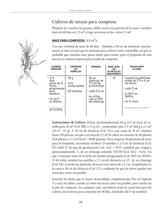 73
Cu lt iva má s c a lor ía s
Cultivos de verano para composta
Después de cosechar los granos, doble excava esa porción de la cama y siembra
maíz de 60 días en 2.5 m² y trigo sarraceno en los otros 2.5 m².
maÍz para ComposTa (2.5 m²):
Usa una variedad de maíz de 60 días. Siembra a 30 cm de distancia, esta dis-
tancia es más cercana que la utilizada para cultivar maíz comestible, así que es
probable que coseches muy pocos elotes para comer; pero el propósito de esta
sección es cultivar material para la pila de composta.
Instrucciones de Cultivo: Utiliza aproximadamente 60 g (1/3 de taza) de se-
milla para 10 m² (Col. BB), o 15 g (1½ cucharadas) para 2.5 m² (60 g x 2.5 m²
/10 m² =15 g). A 30 cm de distancia (Col. CC), una cama de 10 m² contiene
hasta 159 plantas, así que a un área de 2.5 m² le caben un máximo de 40 plantas
(159 plantas x 2.5 m²/10 m² =39.88 plantas). Para asegurar 40 plántulas de maíz
para el trasplante, necesitarás sembrar 53 semillas a 2.5 cm de distancia (Col.
FF) (40/0.75 [la tasa de germinación Col. AA] = 53.3), cantidad que ocupará,
aproximadamente, 1/₅ de un almácigo estándar (53/250 [Col. GG] = 0.21). Así
que 2 semanas antes de la fecha de siembra programada (Col. HH) (en Willits,
15 de julio), siembra las semillas a 2.5 cm de distancia en 1/5 de un almácigo
(Col. EE). Cuando las plántulas alcancen una altura de 2.5 cm, trasplántalas en
la cama a 30 cm de distancia (Col. CC), cuidando de que las raíces queden tan
verticales como sea posible.
Cosecha los elotes que se hayan desarrollado completamente (Ver el Capítulo
7) y saca los tallos cuando ya estén tan secos como sea posible, para usarlos en
la pila de composta. En cualquier caso, necesitarás tener la cama lista para los
cultivos de invierno para composta (en Willits, alrededor del 1º de octubre).
CuÁnDo
EmpEzar
CanTiDaD
DE
sEmillas
siEmbra nÚm. mÁx.
DE
plÁnTulas
rEquEriDas
TrasplanTE
a Cama
• 3-5
días
antes de la
fecha
programada
para
siembra:
• 10-12/7
en Willits,
• _______
en tu área.
• 15 g
• 11.5
cucharaditas
• 53 semillas
• En un
almácigo de
7.5 cm de
profundidad
• cada 2.5 cm
• se utiliza
casi el 20%
del almácigo
40 • Cuando las plántulas
midan de 2.5 a 4 cm
de altura
• cada 5 cm
• el 15/7 en
Willits,
• en tu área:
_____________
 