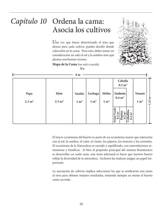 75
Una vez que hayas determinado el área que
deseas para cada cultivo, puedes decidir donde
colocarlos en la cama. Para esto, debes tomar en
consideración no solo el sol y la sombra sino qué
plantas son buenas vecinas.
Capítulo 10 Ordena la cama:
Asocia los cultivos
El micro ecosistema del huerto es parte de un ecosistema mayor que interactúa
con el sol, la sombra, el calor, el viento, los pájaros, los insectos y los animales.
El ecosistema de la Naturaleza es variado y equilibrado, con interrelaciones ar-
moniosas y benéficas. Si bien el propósito principal del sistema biointensivo
es desarrollar un suelo sano, una meta adicional es hacer que nuestro huerto
refleje la diversidad de la naturaleza. Inclusive las malezas juegan un papel im-
portante.
La asociación de cultivos implica seleccionar los que se sembrarán uno junto
al otro para obtener mejores resultados, teniendo siempre en mente el huerto
como un todo.
Mapa de la Cama (no está a escala)
N←
Papa
2.5 m2
Sandía
1 m2
Elote
2.5 m2
Lechuga
1 m2
Melón
1 m2
Zanhoria
0.4 m2
Cebolla
0.5 m2
Tomate
1 m2
FríjolVerde
0.2m2
Pepino
0.2m2
Cebollita
0.2m2
8 m
1.25m
 