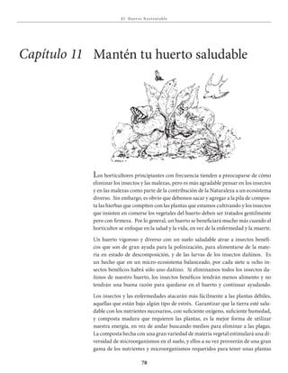 E l Huer to S u stent able
78
Los horticultores principiantes con frecuencia tienden a preocuparse de cómo
eliminar los insectos y las malezas, pero es más agradable pensar en los insectos
y en las malezas como parte de la contribución de la Naturaleza a un ecosistema
diverso. Sin embargo, es obvio que debemos sacar y agregar a la pila de compos-
ta las hierbas que compiten con las plantas que estamos cultivando y los insectos
que insisten en comerse los vegetales del huerto deben ser tratados gentilmente
pero con firmeza. Por lo general, un huerto se beneficiará mucho más cuando el
horticultor se enfoque en la salud y la vida, en vez de la enfermedad y la muerte.
Un huerto vigoroso y diverso con un suelo saludable atrae a insectos benéfi-
cos que son de gran ayuda para la polinización, para alimentarse de la mate-
ria en estado de descomposición, y de las larvas de los insectos dañinos. Es
un hecho que en un micro-ecosistema balanceado, por cada siete u ocho in-
sectos benéficos habrá sólo uno dañino. Si eliminamos todos los insectos da-
ñinos de nuestro huerto, los insectos benéficos tendrán menos alimento y no
tendrán una buena razón para quedarse en el huerto y continuar ayudando.
Los insectos y las enfermedades atacarán más fácilmente a las plantas débiles,
aquellas que están bajo algún tipo de estrés. Garantizar que la tierra esté salu-
dable con los nutrientes necesarios, con suficiente oxígeno, suficiente humedad,
y composta madura que requieren las plantas, es la mejor forma de utilizar
nuestra energía, en vez de andar buscando medios para eliminar a las plagas.
La composta hecha con una gran variedad de materia vegetal estimulará una di-
versidad de microorganismos en el suelo, y ellos a su vez proveerán de una gran
gama de los nutrientes y microorganismos requeridos para tener unas plantas
Capítulo 11 Mantén tu huerto saludable
 