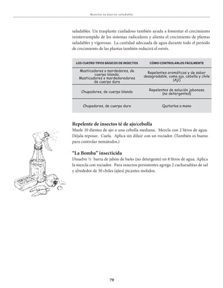 79
Ma ntén t u huer to sa lud able
Repelente de insectos té de ajo/cebolla
Muele 10 dientes de ajo o una cebolla mediana. Mezcla con 2 litros de agua.
Déjala reposar. Cuela. Aplica sin diluir con un rociador. (También es bueno
para controlar nemátodos.)
“La Bomba” insecticida
Disuelve ½ barra de jabón de baño (no detergente) en 8 litros de agua. Aplica
la mezcla con rociador. Para insectos persistentes agrega 2 cucharaditas de sal
y alrededor de 30 chiles (ajíes) picantes molidos.
saludables. Un trasplante cuidadoso también ayuda a fomentar el crecimiento
ininterrumpido de los sistemas radiculares y alienta el crecimiento de plantas
saludables y vigorosas. La cantidad adecuada de agua durante todo el período
de crecimiento de las plantas también reducirá el estrés.
los CuaTro Tipos bÁsiCos DE insECTos CÓmo ConTrolarlos fÁCilmEnTE
Masticadores o mordedores, de
cuerpo blando;
Masticadores o mordedoredores
de cuerpo duro
Repelentes aromáticos y de sabor
desagradable, como ajo, cebolla y chile
(Ají)
Chupadores, de cuerpo blando
Repelentes de solución jabonosa
(no detergentes)
Chupadores, de cuerpo duro Quitarlos a mano
 