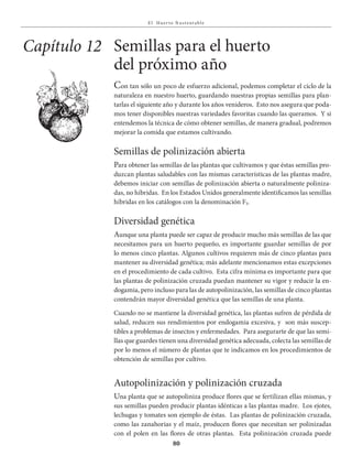 E l Huer to S u stent able
80
Con tan sólo un poco de esfuerzo adicional, podemos completar el ciclo de la
naturaleza en nuestro huerto, guardando nuestras propias semillas para plan-
tarlas el siguiente año y durante los años venideros. Esto nos asegura que poda-
mos tener disponibles nuestras variedades favoritas cuando las queramos. Y si
entendemos la técnica de cómo obtener semillas, de manera gradual, podremos
mejorar la comida que estamos cultivando.
Semillas de polinización abierta
Para obtener las semillas de las plantas que cultivamos y que éstas semillas pro-
duzcan plantas saludables con las mismas características de las plantas madre,
debemos iniciar con semillas de polinización abierta o naturalmente poliniza-
das, no híbridas. En los Estados Unidos generalmente identificamos las semillas
híbridas en los catálogos con la denominación F₁.
Diversidad genética
Aunque una planta puede ser capaz de producir mucho más semillas de las que
necesitamos para un huerto pequeño, es importante guardar semillas de por
lo menos cinco plantas. Algunos cultivos requieren más de cinco plantas para
mantener su diversidad genética; más adelante mencionamos estas excepciones
en el procedimiento de cada cultivo. Esta cifra mínima es importante para que
las plantas de polinización cruzada puedan mantener su vigor y reducir la en-
dogamia, pero incluso para las de autopolinización, las semillas de cinco plantas
contendrán mayor diversidad genética que las semillas de una planta.
Cuando no se mantiene la diversidad genética, las plantas sufren de pérdida de
salud, reducen sus rendimientos por endogamia excesiva, y son más suscep-
tibles a problemas de insectos y enfermedades. Para asegurarte de que las semi-
llas que guardes tienen una diversidad genética adecuada, colecta las semillas de
por lo menos el número de plantas que te indicamos en los procedimientos de
obtención de semillas por cultivo.
Autopolinización y polinización cruzada
Una planta que se autopoliniza produce flores que se fertilizan ellas mismas, y
sus semillas pueden producir plantas idénticas a las plantas madre. Los ejotes,
lechugas y tomates son ejemplo de éstas. Las plantas de polinización cruzada,
como las zanahorias y el maíz, producen flores que necesitan ser polinizadas
con el polen en las flores de otras plantas. Esta polinización cruzada puede
Capítulo 12 Semillas para el huerto
del próximo año
 