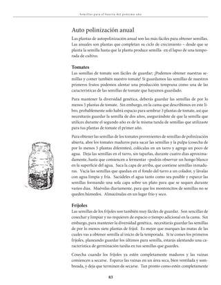 83
S em i l la s pa ra el huer to del próx i mo a ño
Auto polinización anual
Las plantas de autopolinización anual son las más fáciles para obtener semillas.
Las anuales son plantas que completan su ciclo de crecimiento – desde que se
planta la semilla hasta que la planta produce semilla- en el lapso de una tempo-
rada de cultivo.
Tomates
Las semillas de tomate son fáciles de guardar: ¡Podemos obtener nuestras se-
millas y comer también nuestro tomate! Si guardamos las semillas de nuestros
primeros frutos podemos alentar una producción temprana como una de las
características de las semillas de tomate que hayamos guardado.
Para mantener la diversidad genética, deberás guardar las semillas de por lo
menos 5 plantas de tomate. Sin embargo, en la cama que describimos en este li-
bro, probablemente solo habrá espacio para sembrar 3 plantas de tomate, así que
necesitarás guardar la semilla de dos años, asegurándote de que la semilla que
utilices durante el segundo año es de la misma tanda de semillas que utilizaste
para tus plantas de tomate el primer año.
Para obtener las semillas de los tomates provenientes de semillas de polinización
abierta, abre los tomates maduros para sacar las semillas y la pulpa (cosecha de
por lo menos 5 plantas diferentes), colócalas en un tarro y agrega un poco de
agua. Deja las semillas en el tarro, sin taparlas, durante cuatro días aproxima-
damente, hasta que comiencen a fermentar –podrás observar un hongo blanco
en la superficie del agua. Saca la capa de arriba, que contiene semillas inmadu-
ras. Vacía las semillas que quedan en el fondo del tarro a un colador, y lávalas
con agua limpia y fría. Sacúdeles el agua tanto como sea posible y esparce las
semillas formando una sola capa sobre un plato para que se sequen durante
varios días. Muévelas diariamente, para que los montoncitos de semillas no se
queden húmedos. Almacénalas en un lugar frío y seco.
Fríjoles
Las semillas de los fríjoles son también muy fáciles de guardar. Son sencillas de
cosechar y limpiar y no requieren de espacio o tiempo adicional en la cama. Sin
embargo, para mantener la diversidad genética, necesitarás guardar las semillas
de por lo menos siete plantas de fríjol. Es mejor que marques las matas de las
cuales vas a obtener semilla al inicio de la temporada. Si te comes los primeros
fríjoles, planeando guardar los últimos para semilla, estarás alentando una ca-
racterística de germinación tardía en tus semillas que guardes.
Cosecha cuando los fríjoles ya estén completamente maduros y las vainas
comiencen a secarse. Esparce las vainas en un área seca, bien ventilada y som-
breada, y deja que terminen de secarse. Tan pronto como estén completamente
 