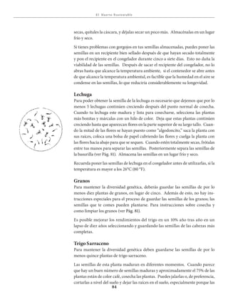 E l Huer to S u stent able
84
secas, quítales la cáscara, y déjalas secar un poco más. Almacénalas en un lugar
frío y seco.
Si tienes problemas con gorgojos en tus semillas almacenadas, puedes poner las
semillas en un recipiente bien sellado después de que hayan secado totalmente
y pon el recipiente en el congelador durante cinco a siete días. Esto no daña la
viabilidad de las semillas. Después de sacar el recipiente del congelador, no lo
abras hasta que alcance la temperatura ambiente, si el contenedor se abre antes
de que alcance la temperatura ambiental, es factible que la humedad en el aire se
condense en las semillas, lo que reduciría considerablemente su longevidad.
Lechuga
Para poder obtener la semilla de la lechuga es necesario que dejemos que por lo
menos 5 lechugas continúen creciendo después del punto normal de cosecha.
Cuando tu lechuga este madura y lista para cosecharse, selecciona las plantas
más bonitas y márcalas con un hilo de color. Deja que estas plantas continúen
creciendo hasta que aparezcan flores en la parte superior de su largo tallo. Cuan-
do la mitad de las flores se hayan puesto como “algodoncito,” saca la planta con
sus raíces, coloca una bolsa de papel cubriendo las flores y cuelga la planta con
las flores hacia abajo para que se sequen. Cuando estén totalmente secas, frótalas
entre tus manos para separar las semillas. Posteriormente separa las semillas de
la basurilla (ver Pág. 81). Almacena las semillas en un lugar frío y seco.
Recuerda poner las semillas de lechuga en el congelador antes de utilizarlas, si la
temperatura es mayor a los 26°C (80 °F).
Granos
Para mantener la diversidad genética, deberás guardar las semillas de por lo
menos diez plantas de granos, en lugar de cinco. Además de esto, no hay ins-
trucciones especiales para el proceso de guardar las semillas de los granos; las
semillas que te comes pueden plantarse. Para instrucciones sobre cosecha y
como limpiar los granos (ver Pág. 81).
Es posible mejorar los rendimientos del trigo en un 10% año tras año en un
lapso de diez años seleccionando y guardando las semillas de las cabezas más
completas.
Trigo Sarraceno
Para mantener la diversidad genética deben guardarse las semillas de por lo
menos quince plantas de trigo sarraceno.
Las semillas de esta planta maduran en diferentes momentos. Cuando parece
que hay un buen número de semillas maduras y aproximadamente el 75% de las
plantas están de color café, cosecha las plantas. Puedes jalarlas o, de preferencia,
cortarlas a nivel del suelo y dejar las raíces en el suelo, especialmente porque las
 