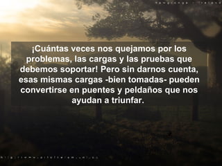 ¡Cuántas veces nos quejamos por los problemas, las cargas y las pruebas que debemos soportar! Pero sin darnos cuenta, esas mismas cargas -bien tomadas- pueden convertirse en puentes y peldaños que nos ayudan a triunfar.  
