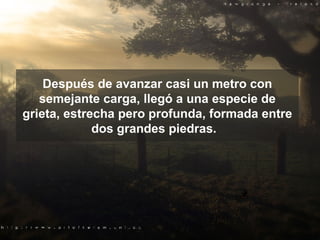 Después de avanzar casi un metro con semejante carga, llegó a una especie de grieta, estrecha pero profunda, formada entre dos grandes piedras.   