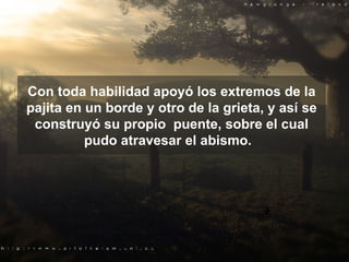 Con toda habilidad apoyó los extremos de la pajita en un borde y otro de la grieta, y así se construyó su propio  puente, sobre el cual pudo atravesar el abismo.  