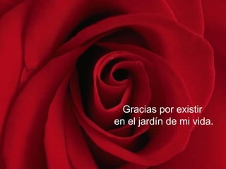 Gracias por existir  en el jardín de mi vida. 