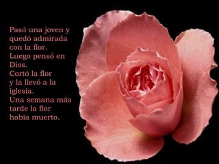 Pasó una joven y quedó admirada con la flor. Luego pensó en Dios.  Cortó la flor y la llevó a la iglesia. Una semana más tarde la flor había muerto. 